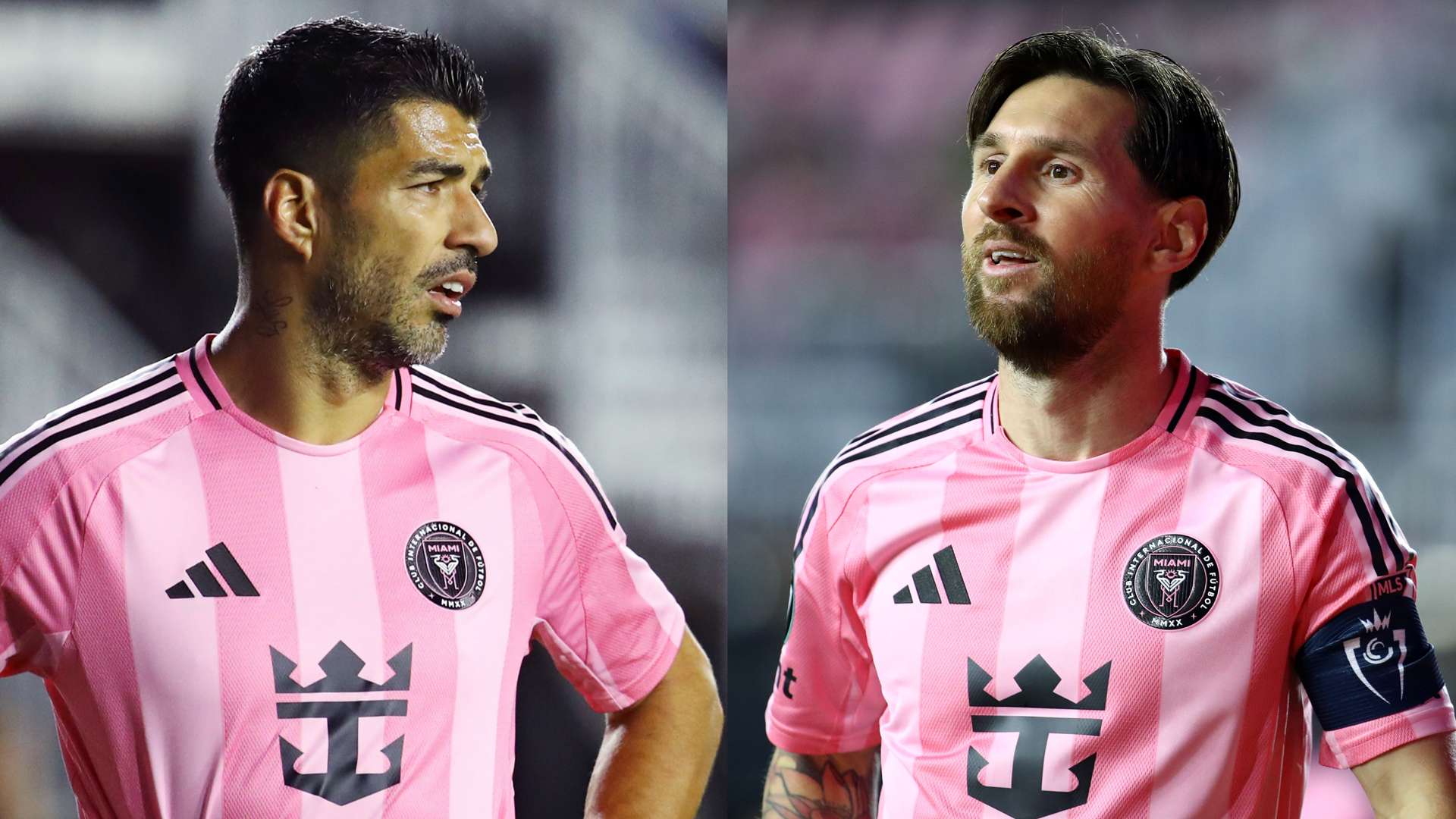 揭示比赛背 揭示比赛背