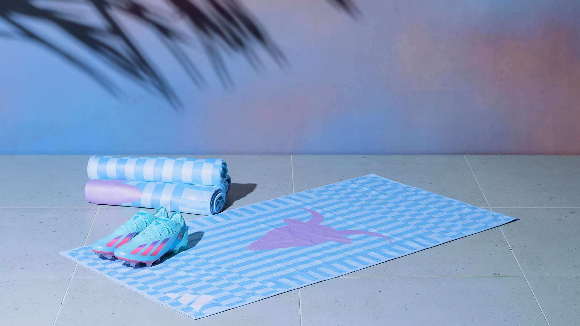 的顶级射手 的顶级射手