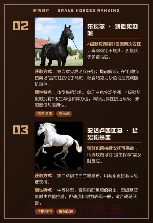 邊緣貴馬求生記